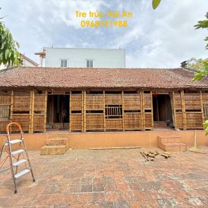 dại tre